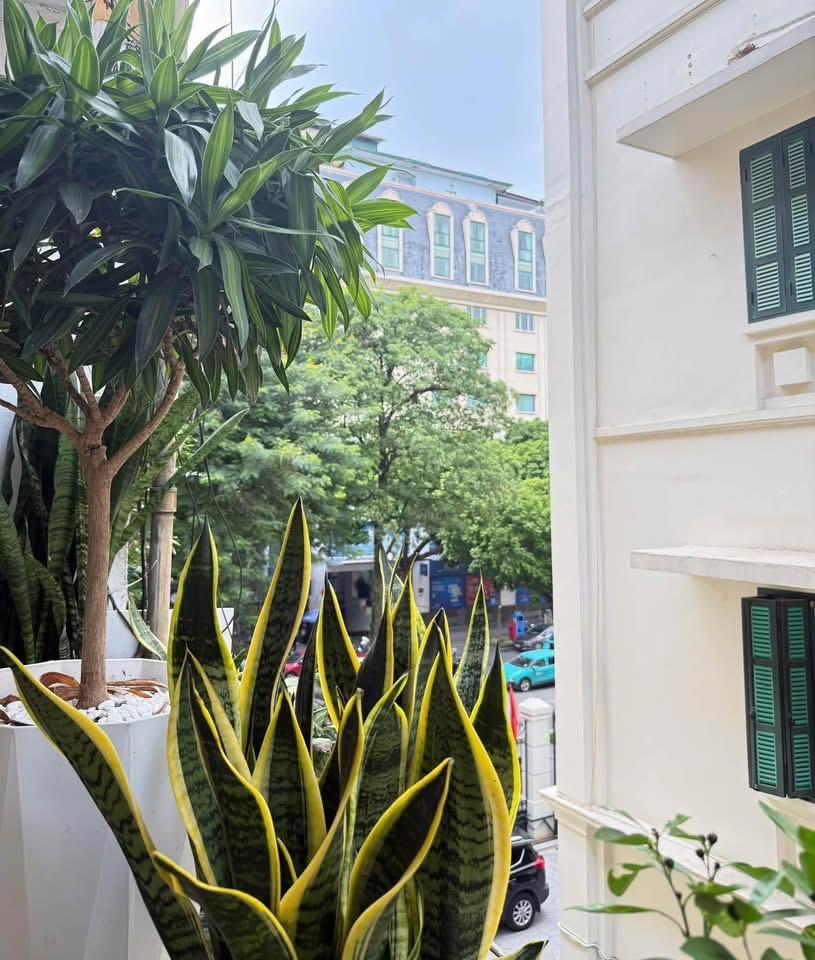 Cho thuê căn hộ tập thể 50m² phố Bà Triệu, Hoàn Kiếm - 13 Triệu/Tháng